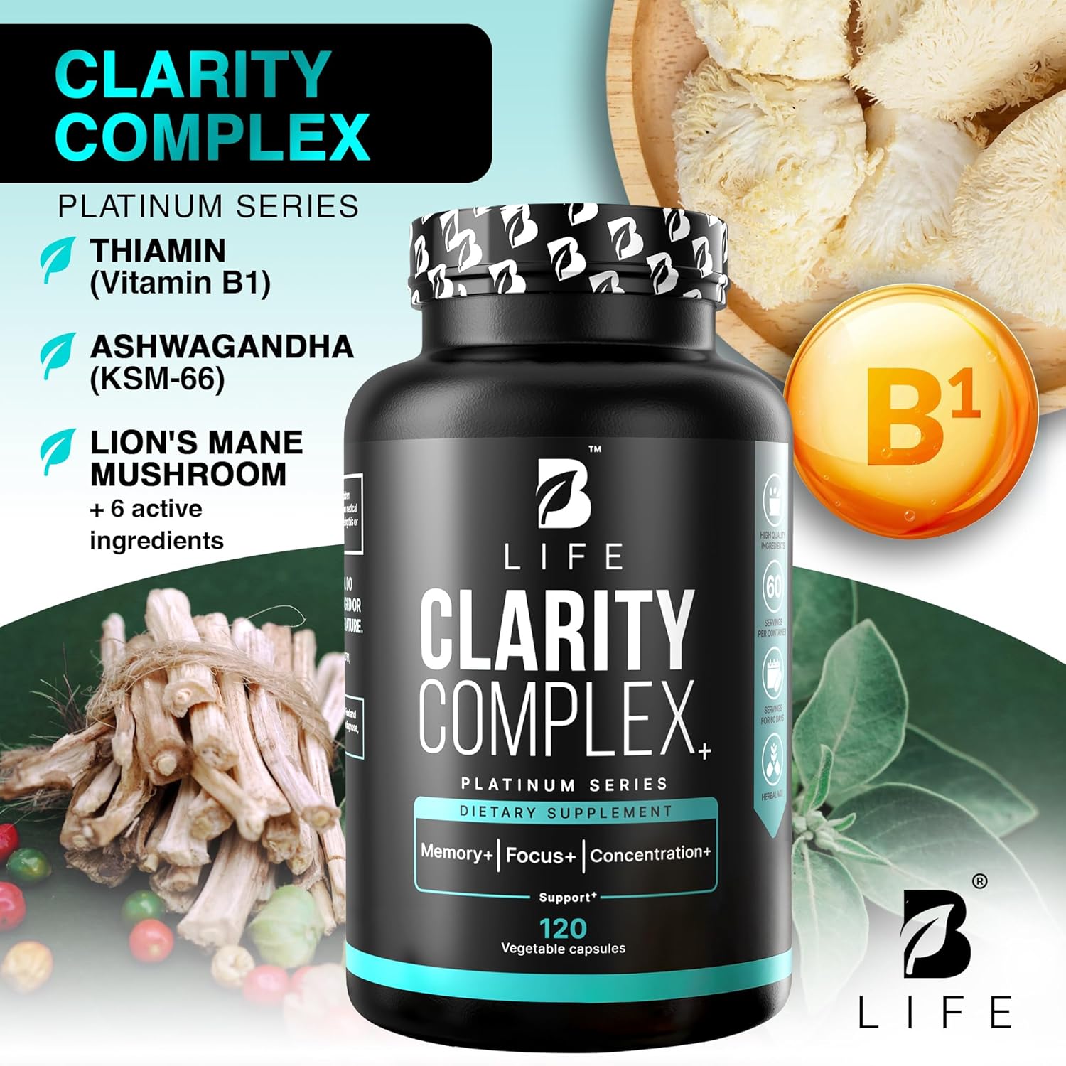 81SarjWVSlL._AC_SL1500_